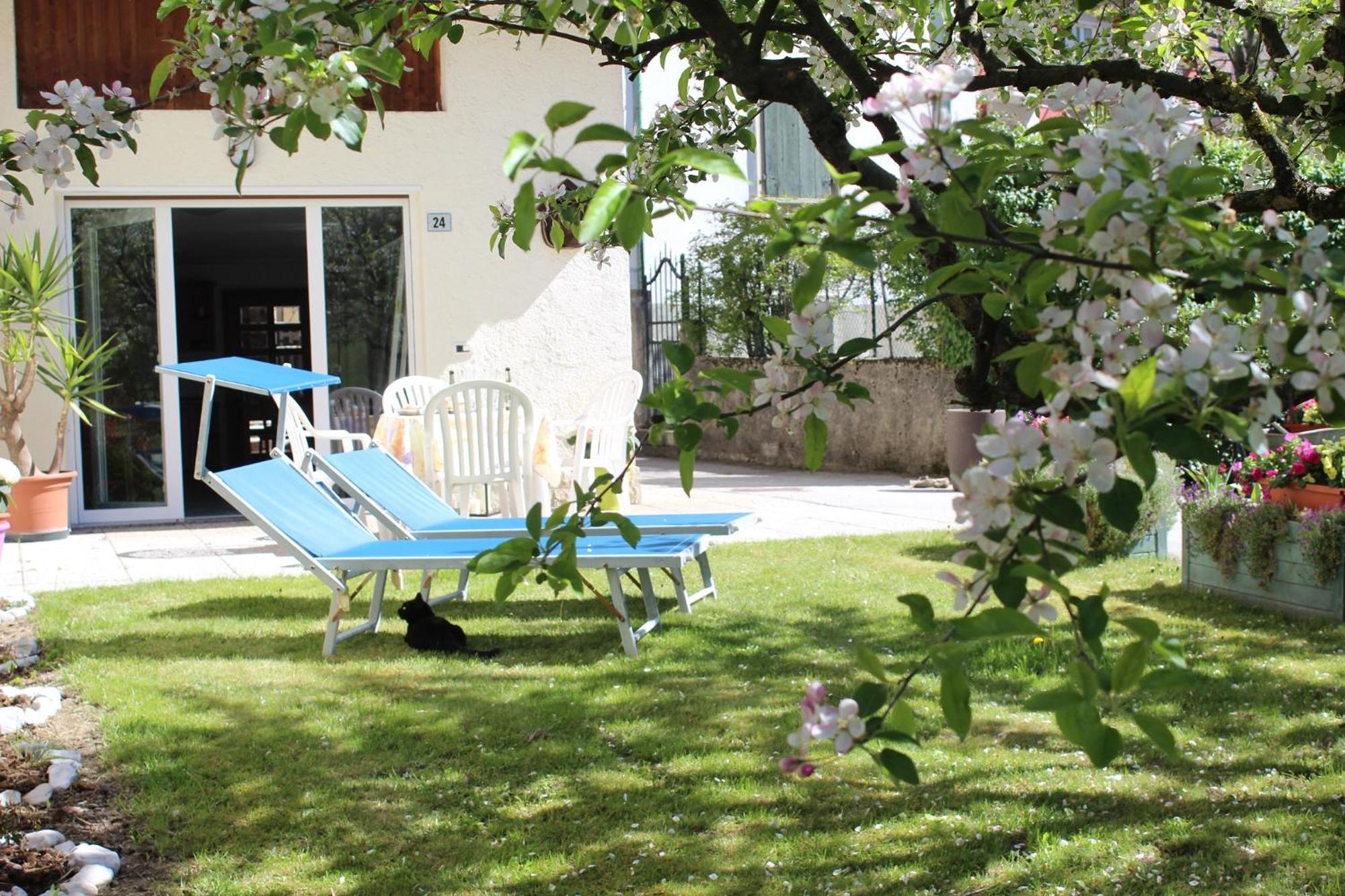 Residence Zecchini Tiarno di Sotto Cameră foto